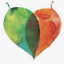 Adelaide Hills Climate Action